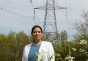 Pylon concerns: Priti Patel has raised concerns