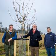 John Meehan (centre), Head of Climate Adaptation and Mitigation at Essex County Council with Cllr Peter Schwier (left), Essex County Council’s climate Czar, and Chris Bawtree (right), Woodland Creation Lead at Ground Control at the Wildfell Centr