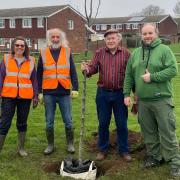 Green fingered -  Left to Right - Two members of the Witham Tree Group with Donald Roots and Adrian Grycendler