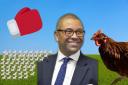 James Cleverly was asked if he would rather fight 50 chicken-sized horses or one horse-sized chicken in a special interview for 100 days as Foreign Secretary