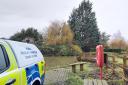 Swans killed: police are investigating in Coggeshall