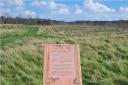 Nature - one of the new trail posts at Whetmead Nature Reserve