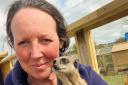 Delighted - Gemma Culling, the founder of Gemma's Farm with a meerkat