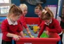 There is plenty to enjoy in the new-look nursery