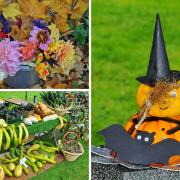 The Gardens of Easton Lodge is putting on a Halloween event later this month to round out its year of open days.