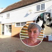 Sarah Fretwell will be opening a new cat café in Braintree soon