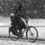 Heavy snowfall sweeps across York, making all forms of transport uncomfortable