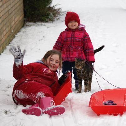 Abbie and Ruby Kirtley enjoy the snow in Saunders Avenue, Braintree