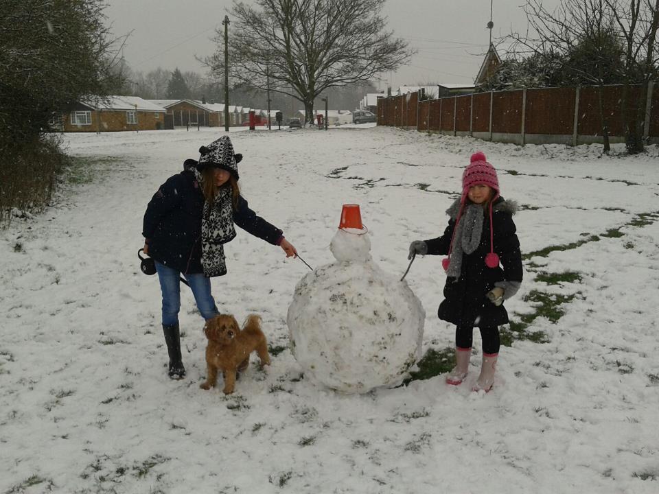 Liberty Griffin with sister Olivia, dog Ecko and their snowman in Witham.