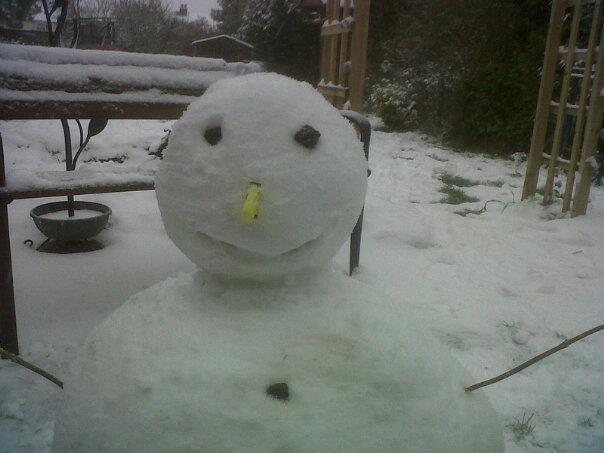Lorraine Root couldn’t find a carrot so used a peg for her snowman.