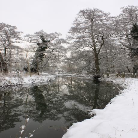 Noreen Metson's photo near Hulls Mill in Sible Hedingham