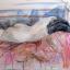 Suffolk Art Society Early Summer Exhibition