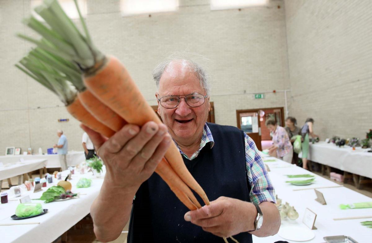 Ralph Dent looking at some monster carrots at the The Four Colnes Flower Show