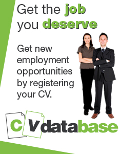 CV Services