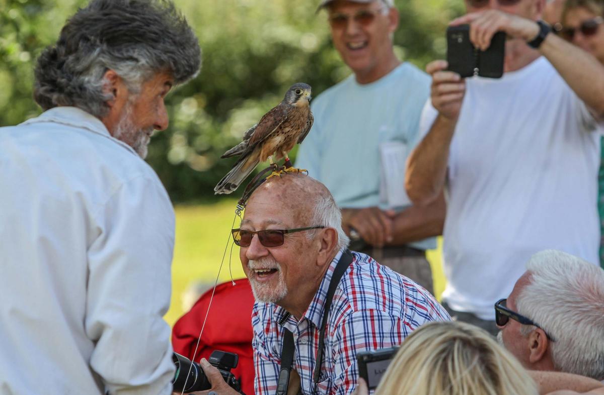 Marks Hall in Coggeshall held a summer show with birds of prey displays and heavy horses