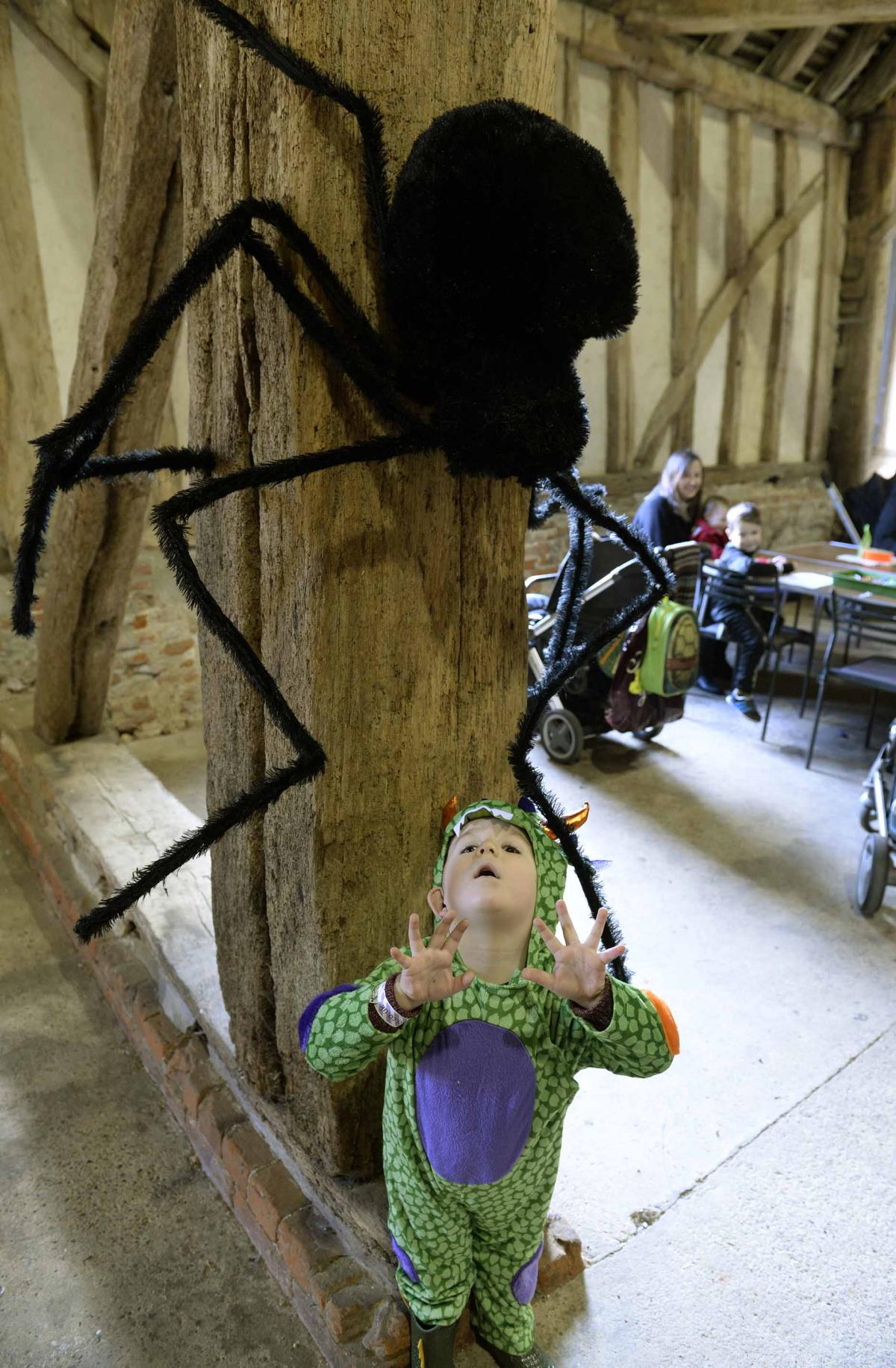 Web: Harry Sugeth, three, gets trapped by a spider