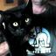 Recovering: Dizzy, with his owner Morné Smit.