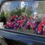 Braintree: Town pays its respects to Charmaine
