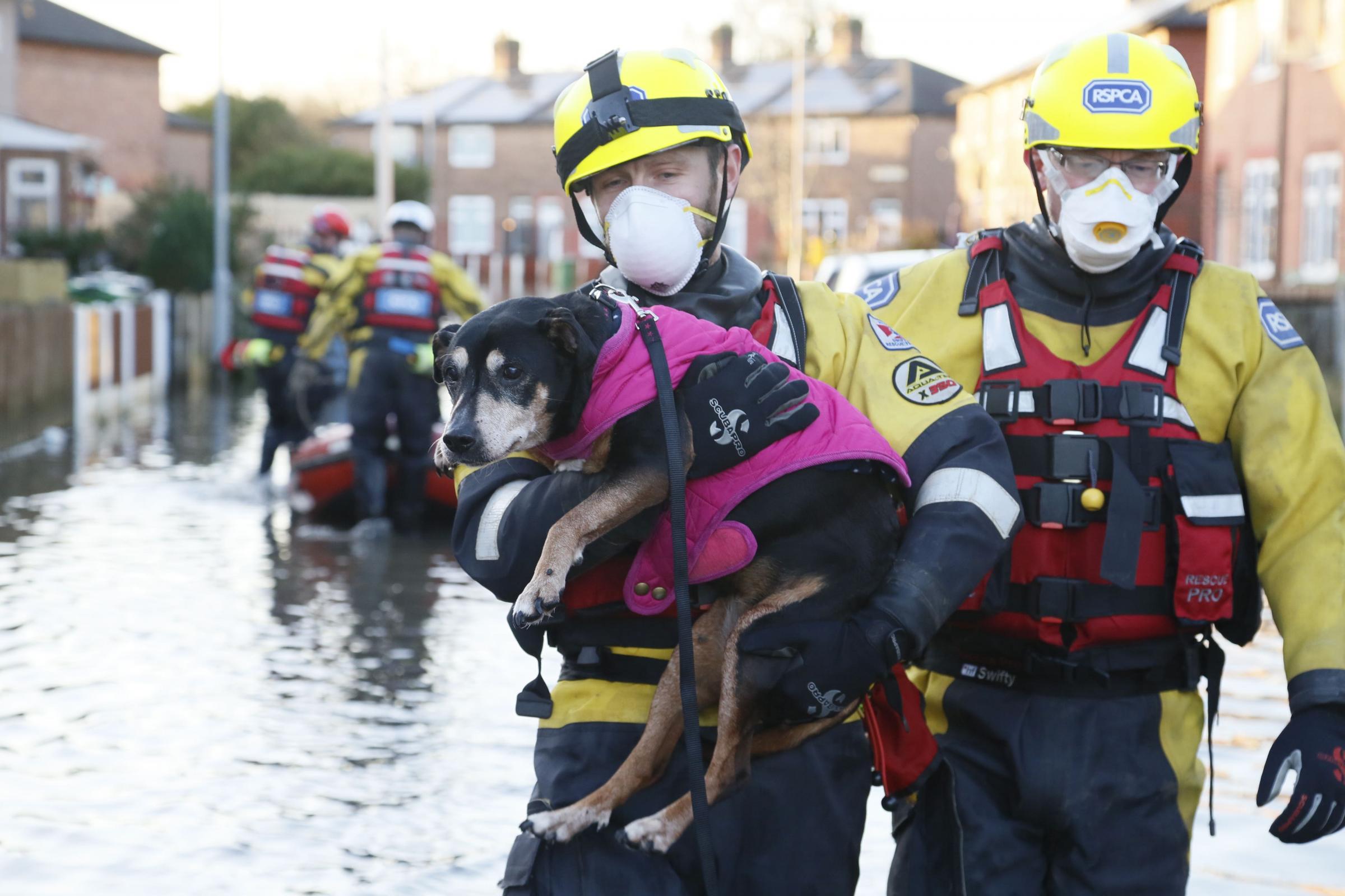 RSPCA launches missions to save animals from Storm Christoph flooding