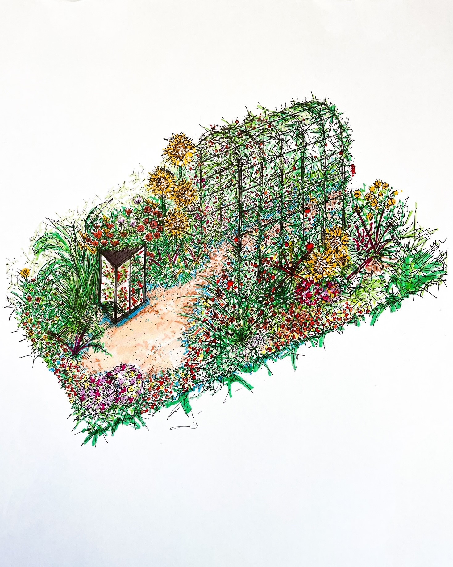 Lucy Hutchings RHS Hampton Court Edilble Allotment Garden Drawing