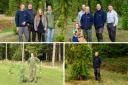 It has been 15 years since the Wollemi pine was planted at Markshall Estate (Pictures: Bryan Shaw)