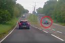 Confused - a driver has been captured driving the wrong way up the A120 just outside of Braintree