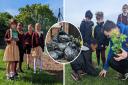 Environment -  Felsted Prep School students supporting the environment