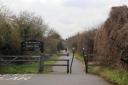 GREEN SPACE: The Flitch Way in Braintree