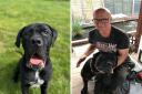 Lorry driver Lee Topper has given Doug his forever home