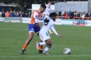 Derby duel: Braintree Town's Reggie Lambe in action against Chelmsford City.