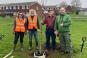 Green fingered -  Left to Right - Two members of the Witham Tree Group with Donald Roots and Adrian Grycendler