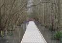 New - The installed boardwalk at James Cooke Wood