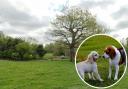 Location - A Google Maps image of the entrance to Brockwell Meadow and an inset image of two dogs