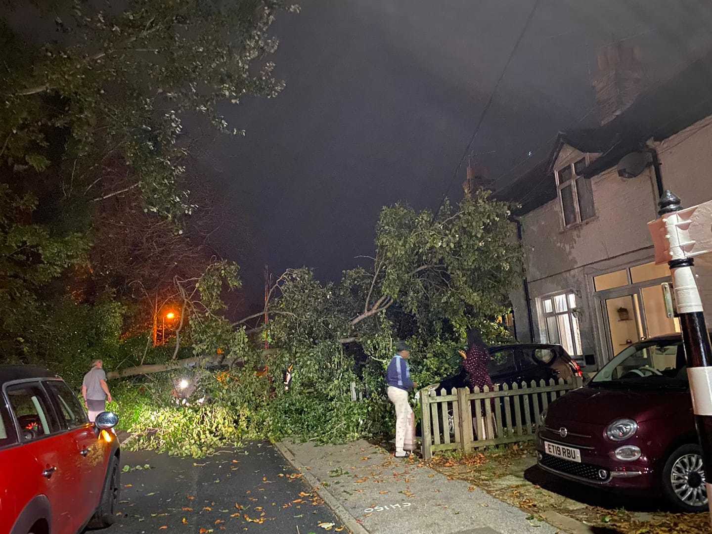 Witham road brought to standstill after tree collapses on house | Braintree and Witham Times - Vimarsana News