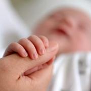 The number of babies being born fell last year