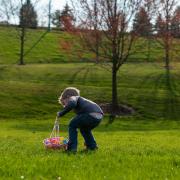 A stock photo of an Easter Egg hunt