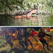 A horse was rescued after getting stuck in the River Chelmer at Nounsley (Pictures: Essex Fire)