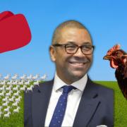 James Cleverly was asked if he would rather fight 50 chicken-sized horses or one horse-sized chicken in a special interview for 100 days as Foreign Secretary