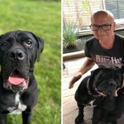 Lorry driver Lee Topper has given Doug his forever home