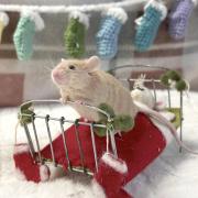 One of the mice enjoying the festive photoshoot