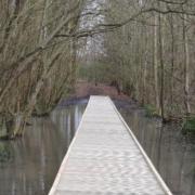 New - The installed boardwalk at James Cooke Wood