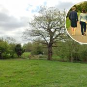 Location - A Google Maps image of the entrance to Brockwell Meadows, and an inset image of dog walkers