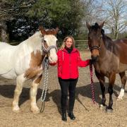 Worried - Animal lover Laura Thompson with her two horses Mr Bojangles and Herbie