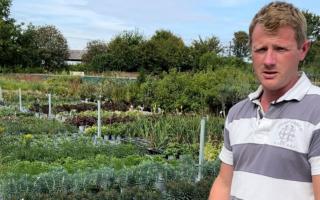 GOING GREEN: Oliver Wass, owner of Oliver's Plants