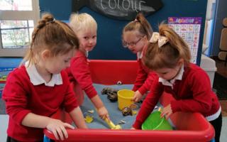 There is plenty to enjoy in the new-look nursery