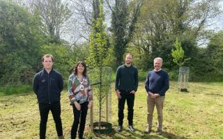 New trees - Left to right: George Bartley, Essex County Council apprentice, Councillor Diana Garrod, Braintree District Council chairman, Andrew Digby, Braintree District Council Tree, and Cllr Peter Schwier