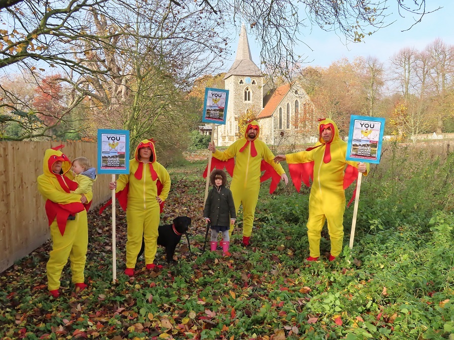 'We're clucking mad' - Protestors don chicken suits to fight historic meadow homes bid